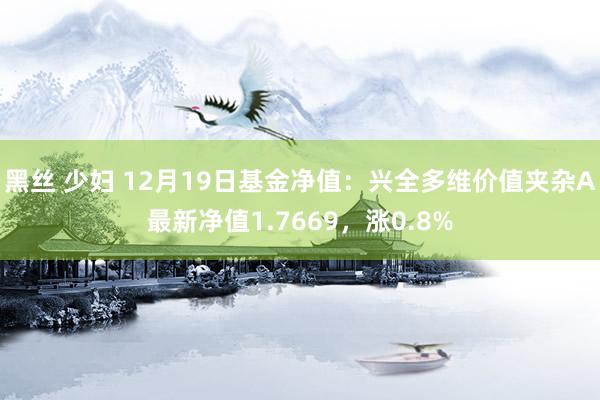 黑丝 少妇 12月19日基金净值：兴全多维价值夹杂A最新净值1.7669，涨0.8%