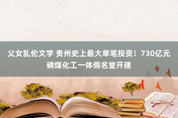 父女乱伦文学 贵州史上最大单笔投资！730亿元磷煤化工一体假名堂开建