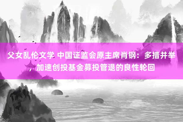 父女乱伦文学 中国证监会原主席肖钢：多措并举，加速创投基金募投管退的良性轮回