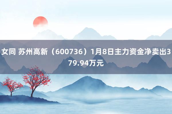 女同 苏州高新（600736）1月8日主力资金净卖出379.94万元