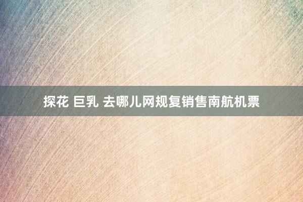 探花 巨乳 去哪儿网规复销售南航机票